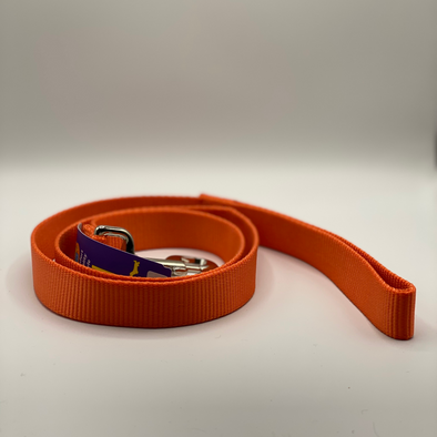 Hamilton, 4' Nylon Leash, Orange