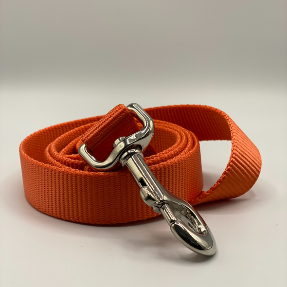Hamilton, 4' Nylon Leash, Orange