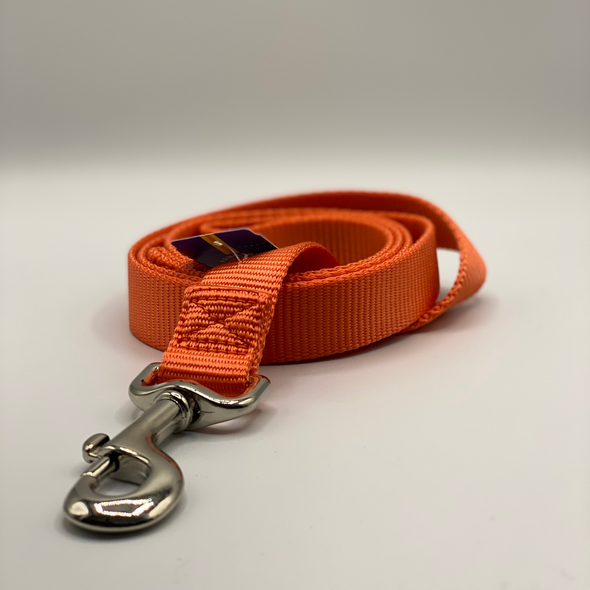Hamilton, 4' Nylon Leash, Orange